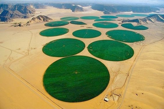 JORDAN – Rum Farm
